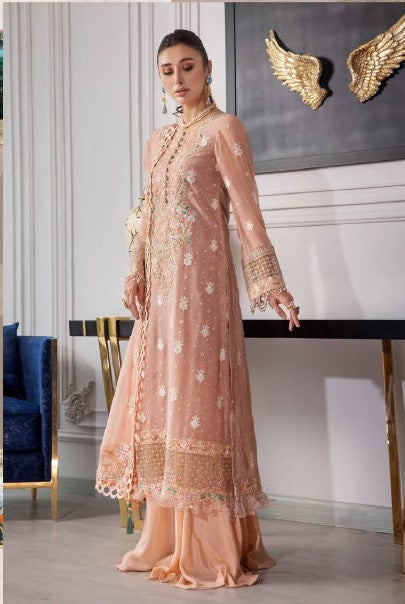 Lala Collection Lala Vasl Formal Collection D-11 – YourLibaas