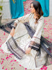 Bin Ilyas Maya Summer Lawn Collection 2023 – 1803-A