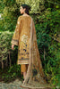 Ramsha Chevron Lawn Collection Vol-5 – C-510