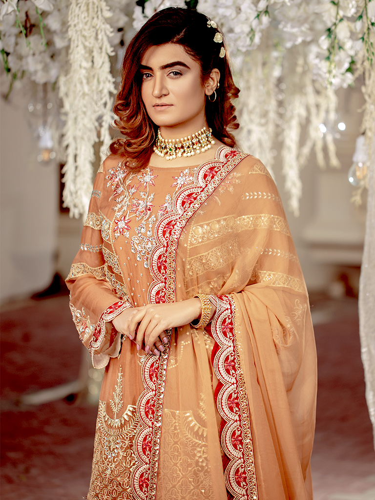 Serene Premium Beaux Rêves Embroidered Chiffon Collection 2020 – S-1004 Rust Tickle