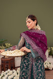 Diara Couture | Tabeer Wedding Formals | AILA