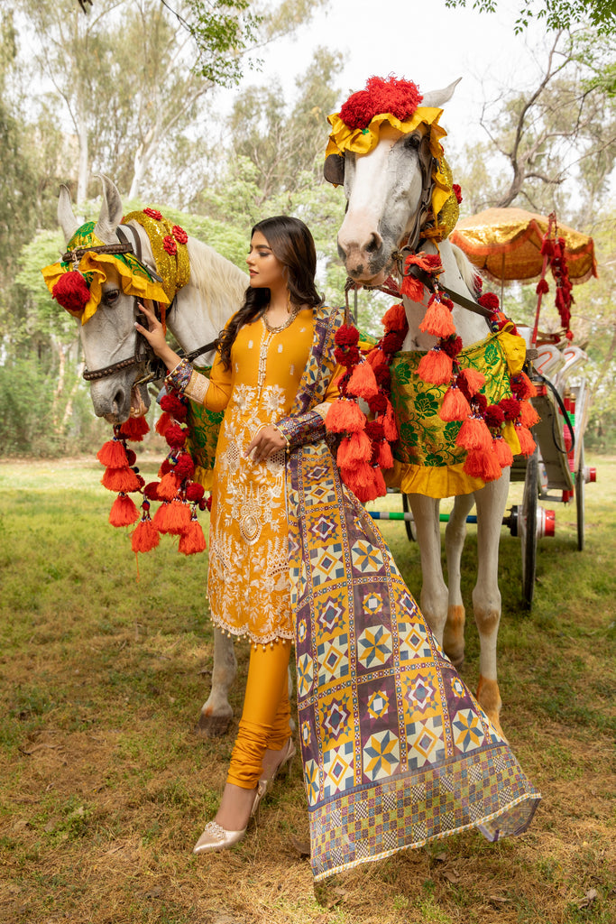 Kalyan Chikankari Embroidered Festive Collection – KCKV4-1