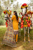 Kalyan Chikankari Embroidered Festive Collection – KCKV4-1