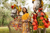 Kalyan Chikankari Embroidered Festive Collection – KCKV4-1