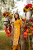Kalyan Chikankari Embroidered Festive Collection – KCKV4-1