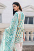 Gul Ahmed Summer Essential Collection 2019 – 2 PC TL-170 A