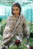 Qalamkar Rehab Luxury Winter Collection (With Shawl) – Chawal Tanka QWK-02