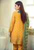 Elaf Premium Chiffon Collection 2019 – EL03 Aqua Shine