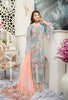 Ramsha Rangoon Chiffon Collection Vol-5 – D-510