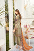 Ramsha Rangoon Chiffon Collection Vol-5 – D-505