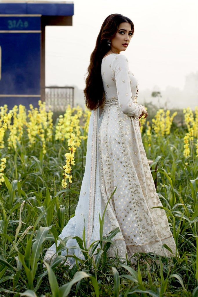 qalamkar shawls price