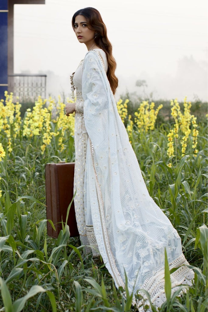 qalamkar shawls price