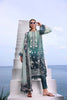 Noor by Saadia Asad Luxe Printkari Lawn 2024 – D2-A