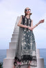 Noor by Saadia Asad Luxe Printkari Lawn 2024 – D2-B