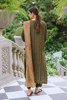 Aabyaan Luxury Winter Edit '21 – ELMAS (AL-08)