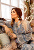 Adan's Libas Luxulia Embroidered Chiffon Collection – Mystical Glimpse