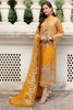 Afrozeh La Fuchsia Luxury Formal Collection 2022 – Golden Hour