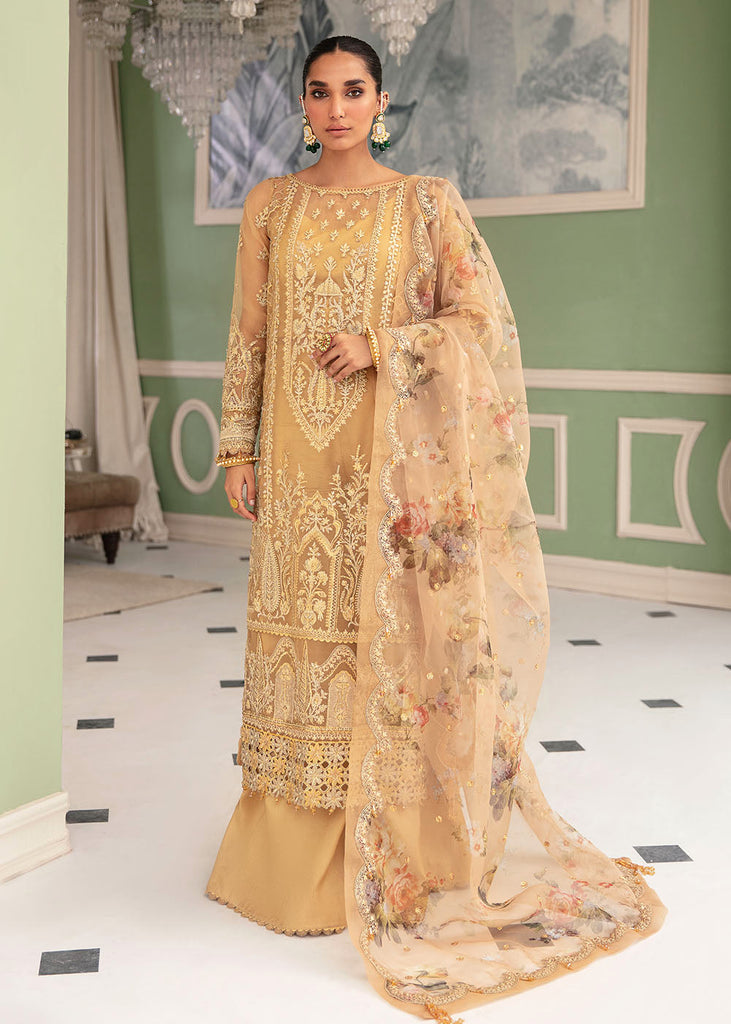 Afrozeh La Fuchsia Luxury Formal Collection – Delaine