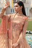 Afrozeh Shehnai Luxury Wedding Formals – JAHANARA