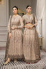 Alizeh Aqs-e-Dast Festive Chiffon Collection 2022 – Aaina
