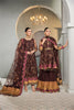 Alizeh Vasl-e-Miras Luxury Festive Formal Collection – Rajwari
