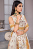 Alizeh Vasl-e-Miras Luxury Festive Formal Collection – Sawera