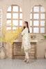 Amna Sohail by Tawakkal · Anabella Lawn Collection 2022 – D-7238