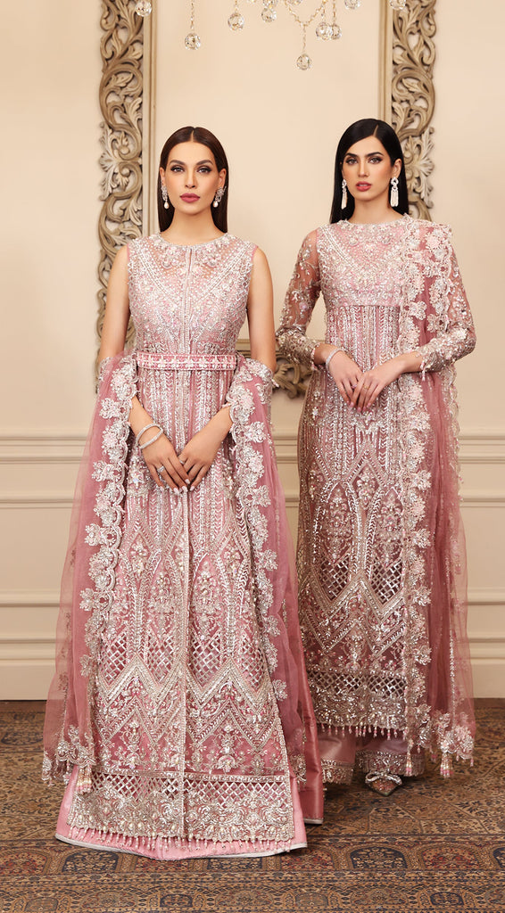 Anaya Opulence Hand Embellished Embroidered Chiffon – CHLOE