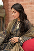 Ayzel X Afrozeh Sangat Luxury Chiffon Collection – Hema