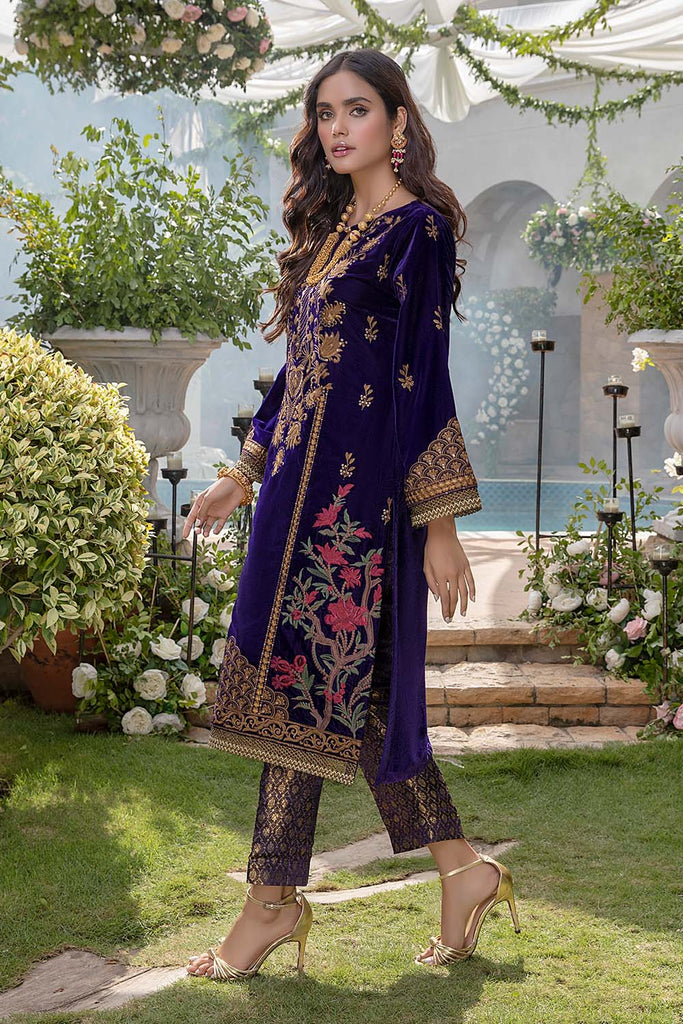 Azure Velvet Winter 2Pc Collection – Jade Vine – YourLibaas