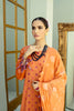 Faixa Faixal X Ittehad · Naazaan Lawn Collection – FF-NZ-10