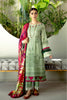 Faixa Faixal X Ittehad · Naazaan Lawn Collection – FF-NZ-11A