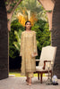 Farasha Embroidered Chiffon Collection – Sepia
