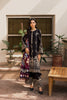 Farasha Winter Khaddar Collection – Sable Mirage