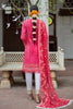 Gisele Mehrma Luxury Lawn Collection – Nageen