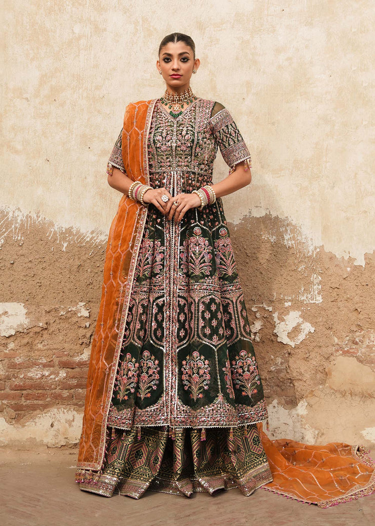 Hussain Rehar Tammam Festive Formal Wedding Collection – Fasana