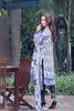 Noor by Saadia Asad Silk Collection - Indigo Dreams - 11