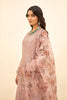 IZNiK Chinon Luxury Chiffon Formal Collection – CC-01 Kayra