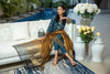 Kalyan Embroidered Lawn Collection Vol-2 2022 – KV2-7