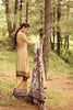 Noor Winter Collection 2017 by Saadia Asad – 05 Caramel De Nude
