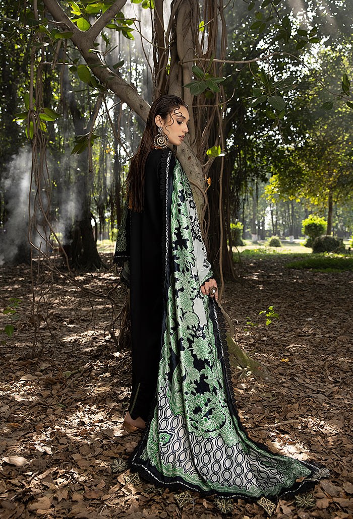 Humdum Winter Humdum Mirk Winter Collection with Shawl – MK-01 – YourLibaas