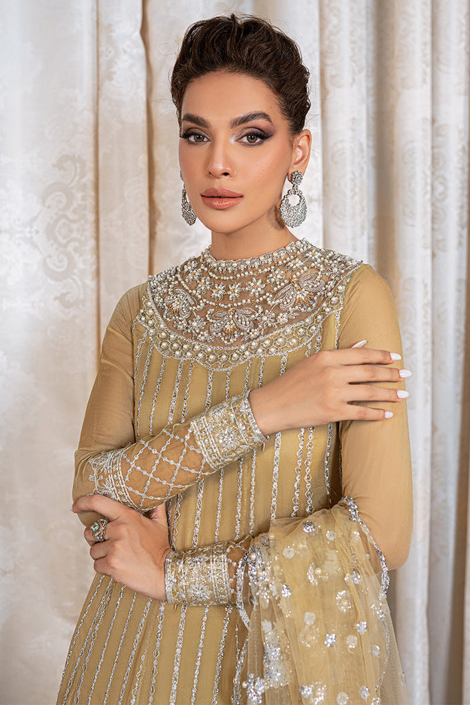 Mushq Monsoon Wedding Luxury Chiffon Collection – TENSIL
