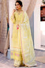 Noor by Saadia Asad · Eid Chikankari Collection 2021 – NCHK-D6-B