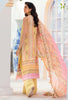 Noor by Saadia Asad Luxury Chikankari Lawn Collection – D2-B