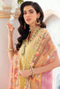 Noor by Saadia Asad Luxury Chikankari Lawn Collection – D2-B