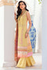 Noor by Saadia Asad Luxury Chikankari Lawn Collection – D2-B