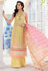 Noor by Saadia Asad Luxury Chikankari Lawn Collection – D2-B
