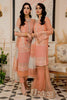 Nourang Festive Collection by Maryam's – D-213 Cameo pink