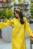 Nureh Ballerina Embroidered Chikankari Khaddar 2Pc Collection – NU2-62
