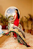 Adan's Libas Schiffli Embroidered Lawn Collection Chapter 2 – Splendid Tint